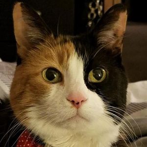 Meet your Posher, Jim